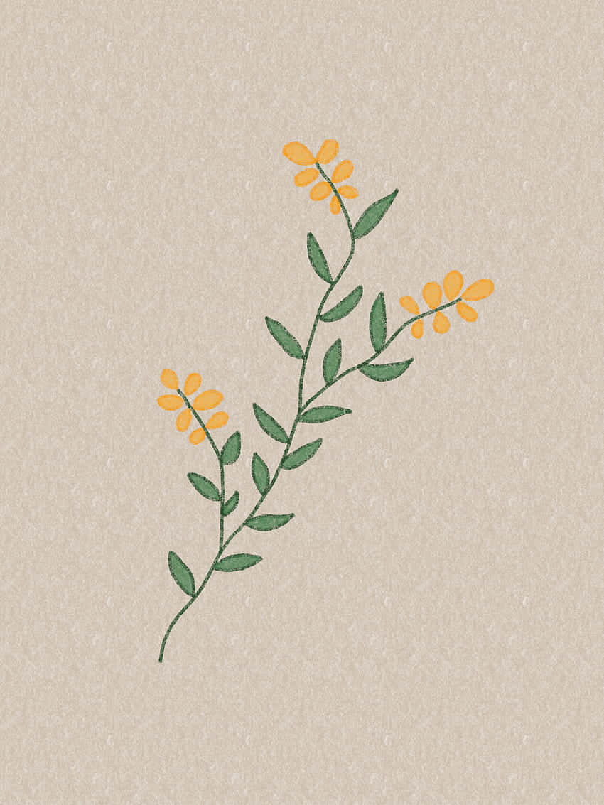 A Yellow Flower On A Beige Background Wallpaper