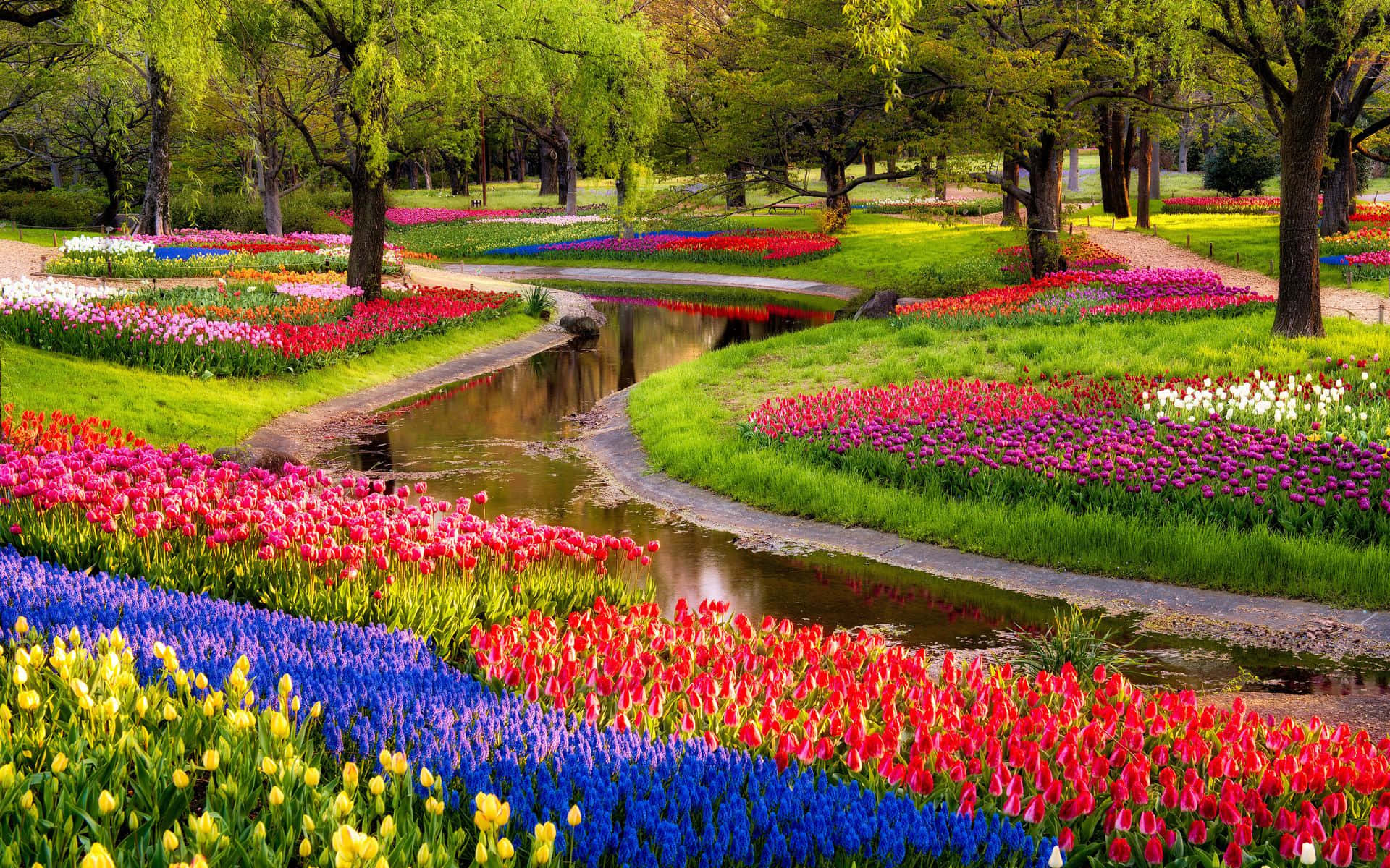 River Park Flower Garden Picture