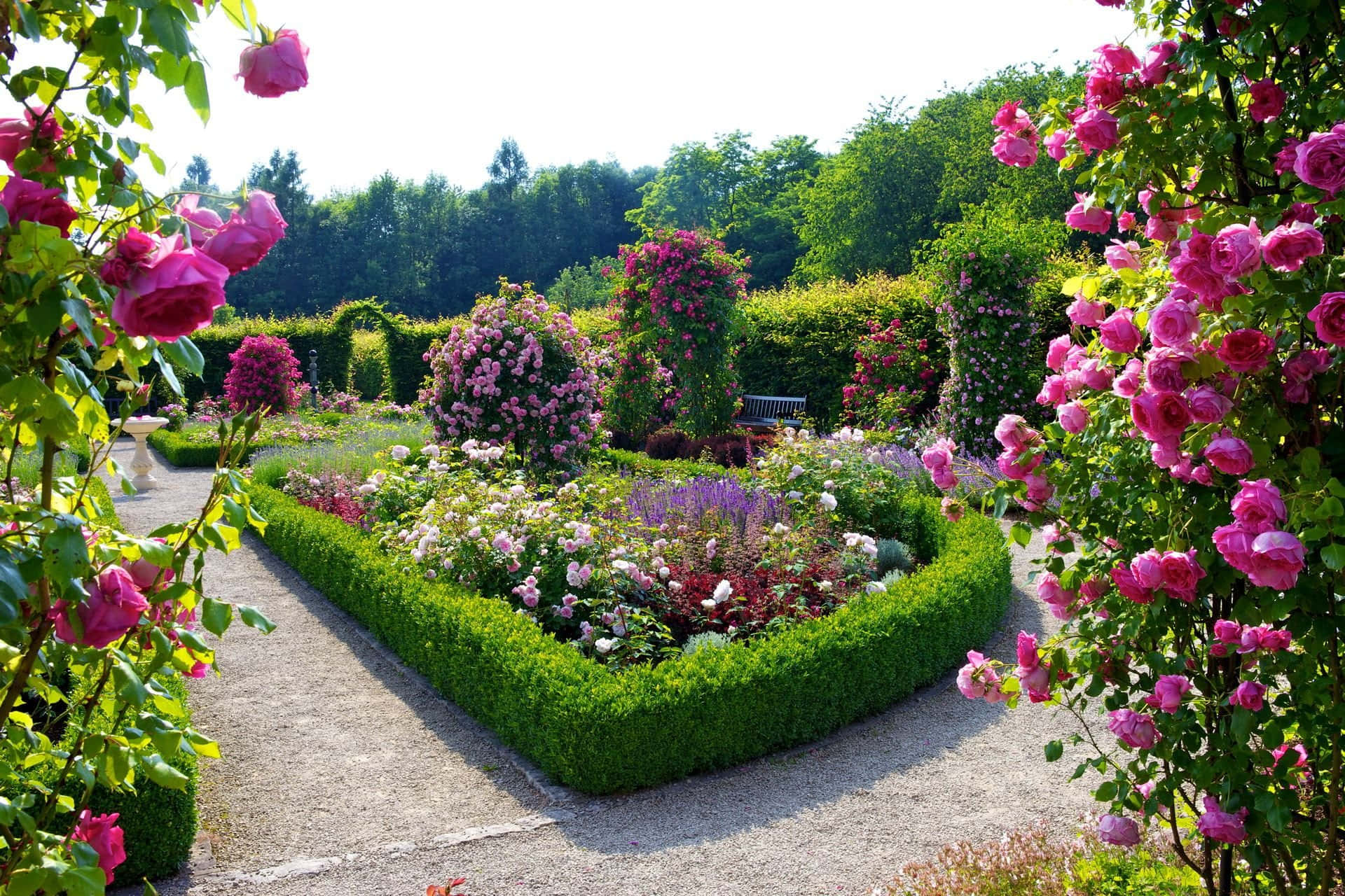 Fantastic Flower Garden Park Picture