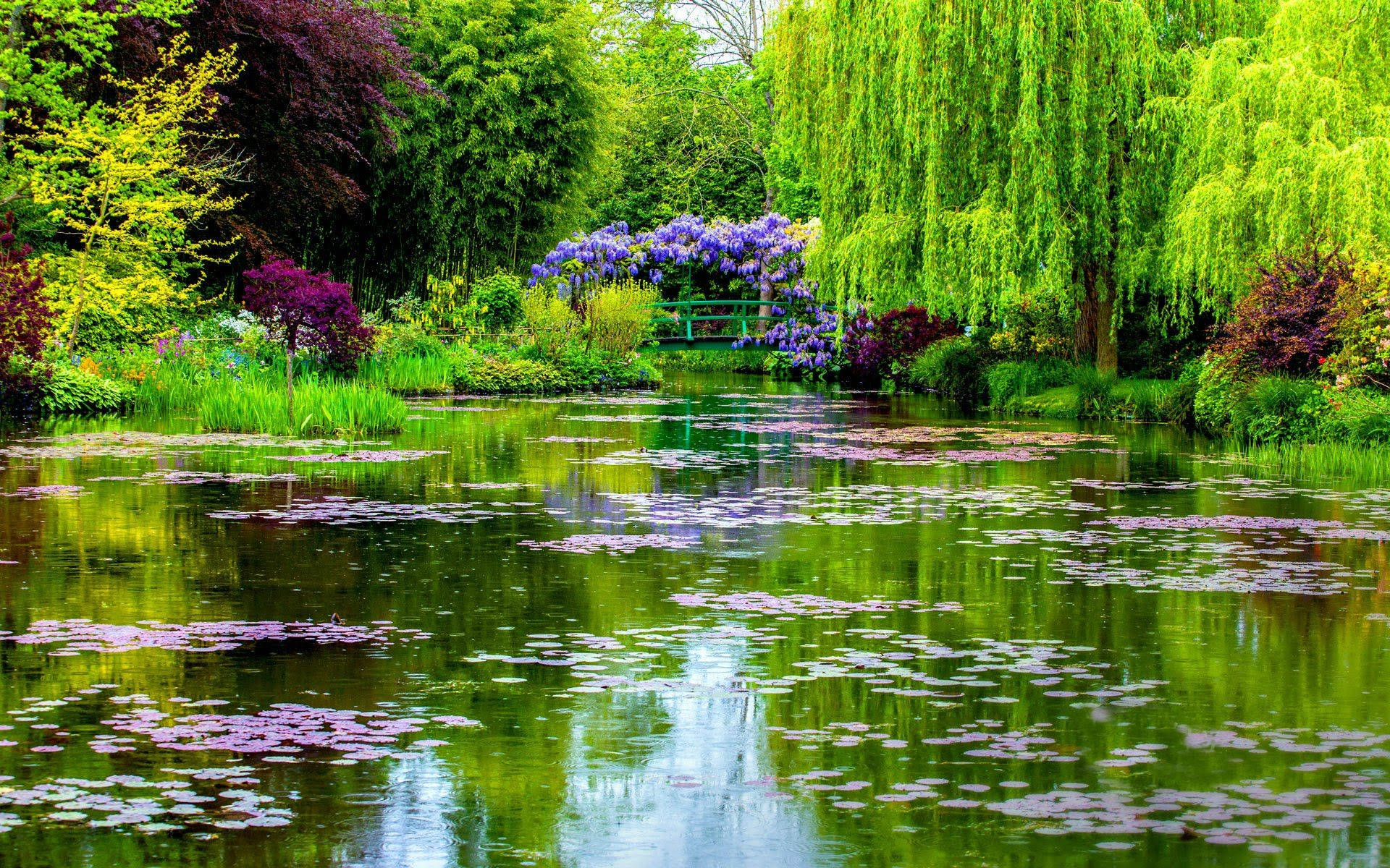 Flower Garden With A Beautiful Pond Wallpaper