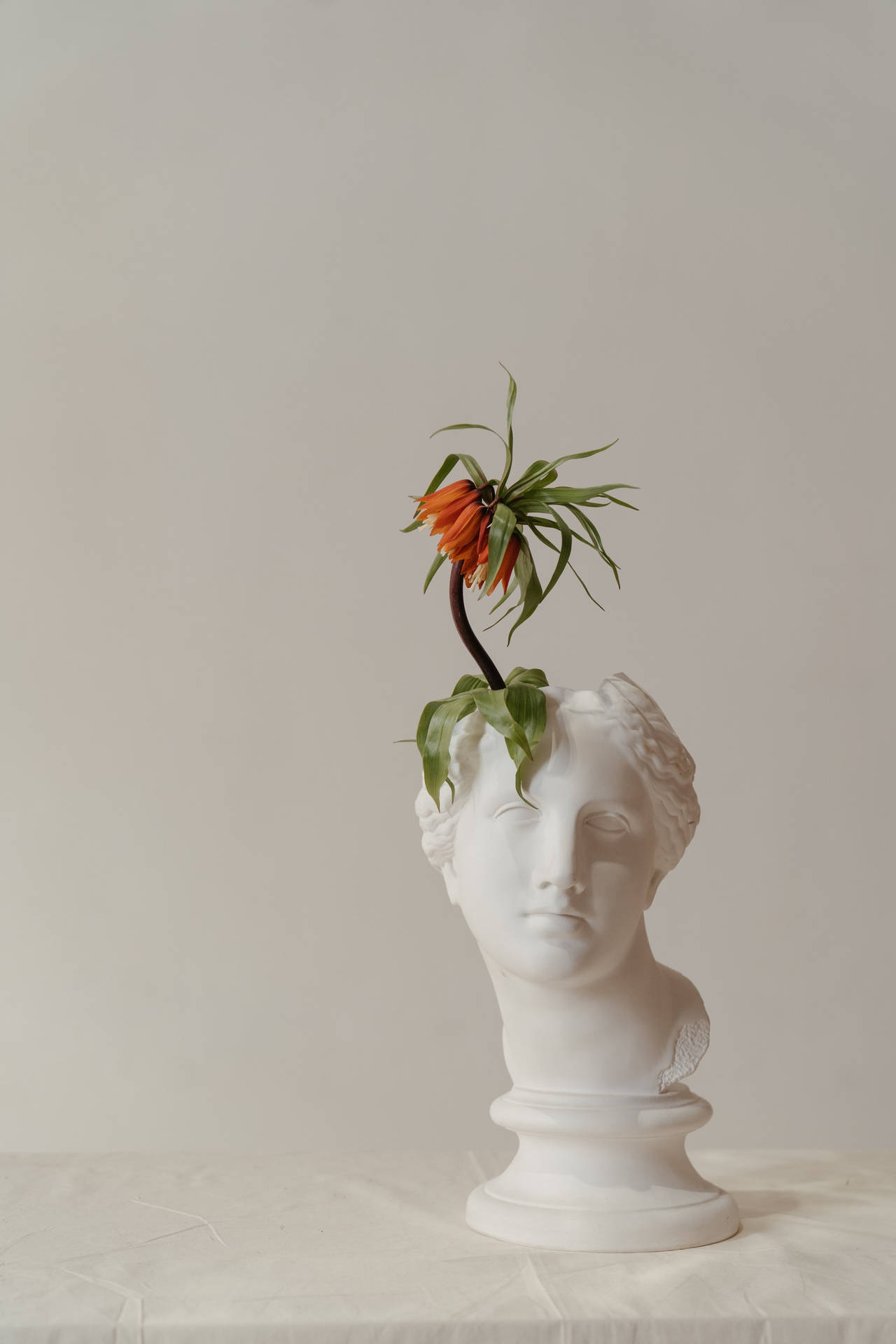 Flower Head Sculpture Wallpaper