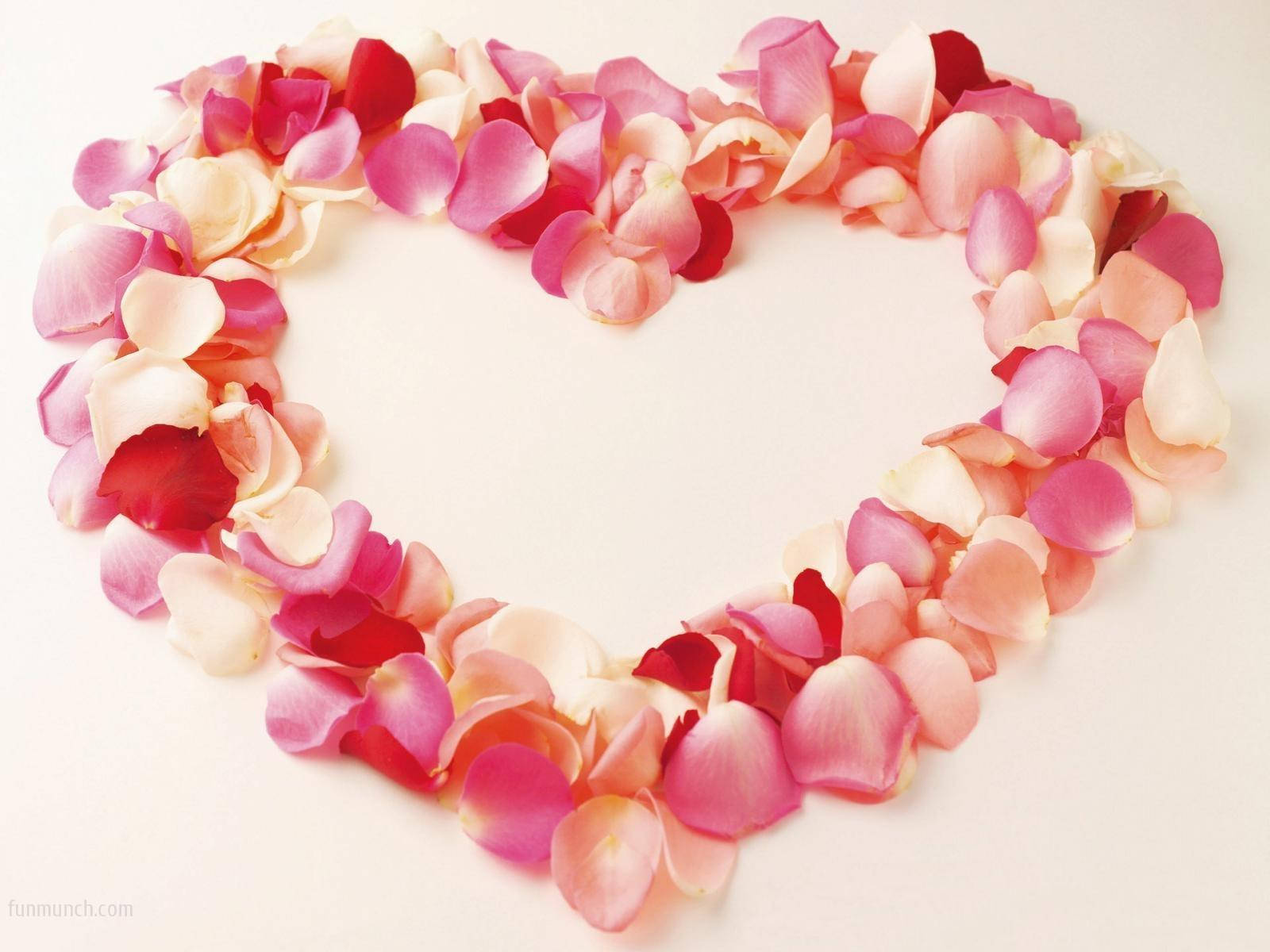 Flower Heart Of Pink Rose Petals Wallpaper