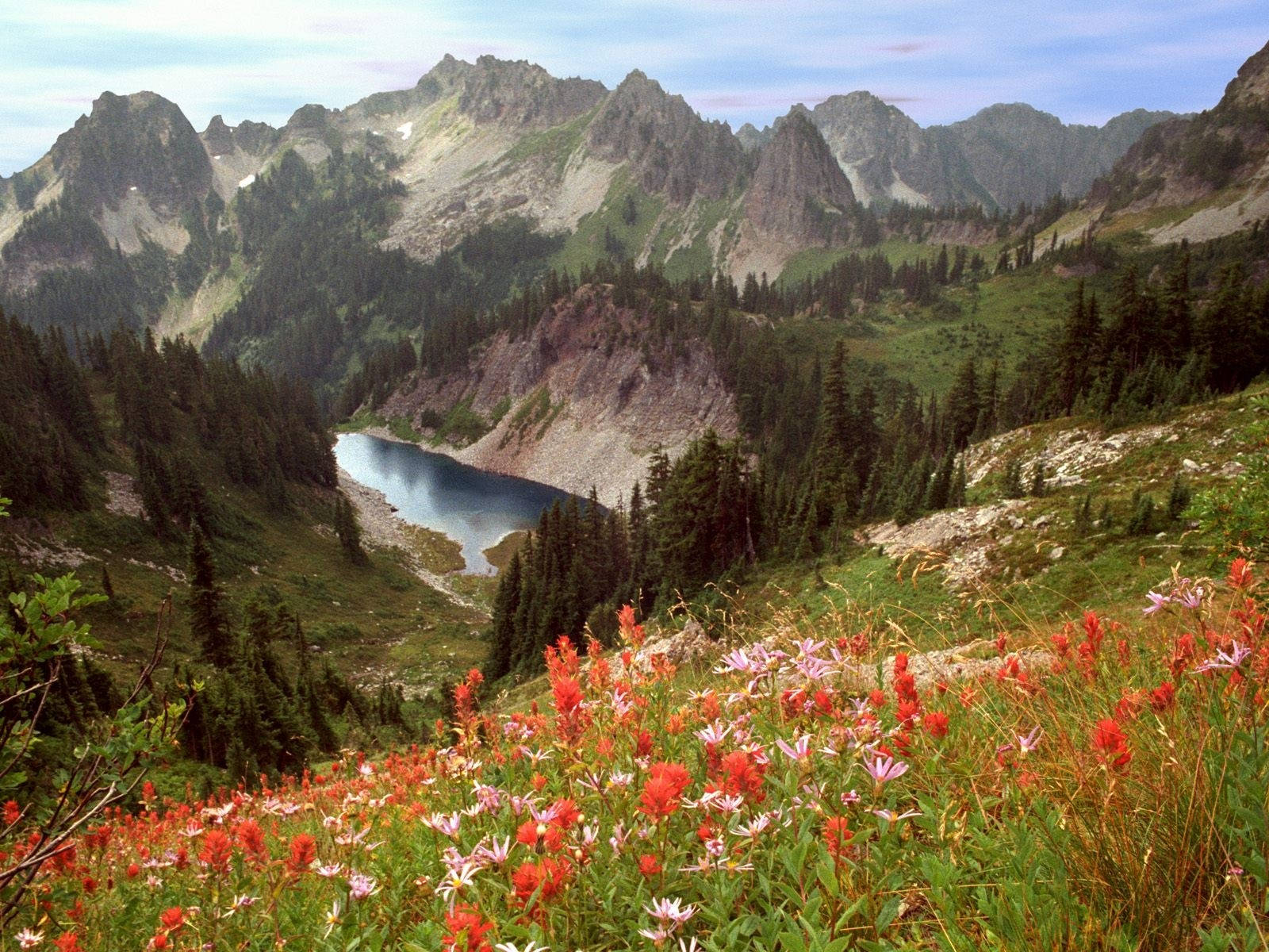 Flower Hills In Idaho Wallpaper