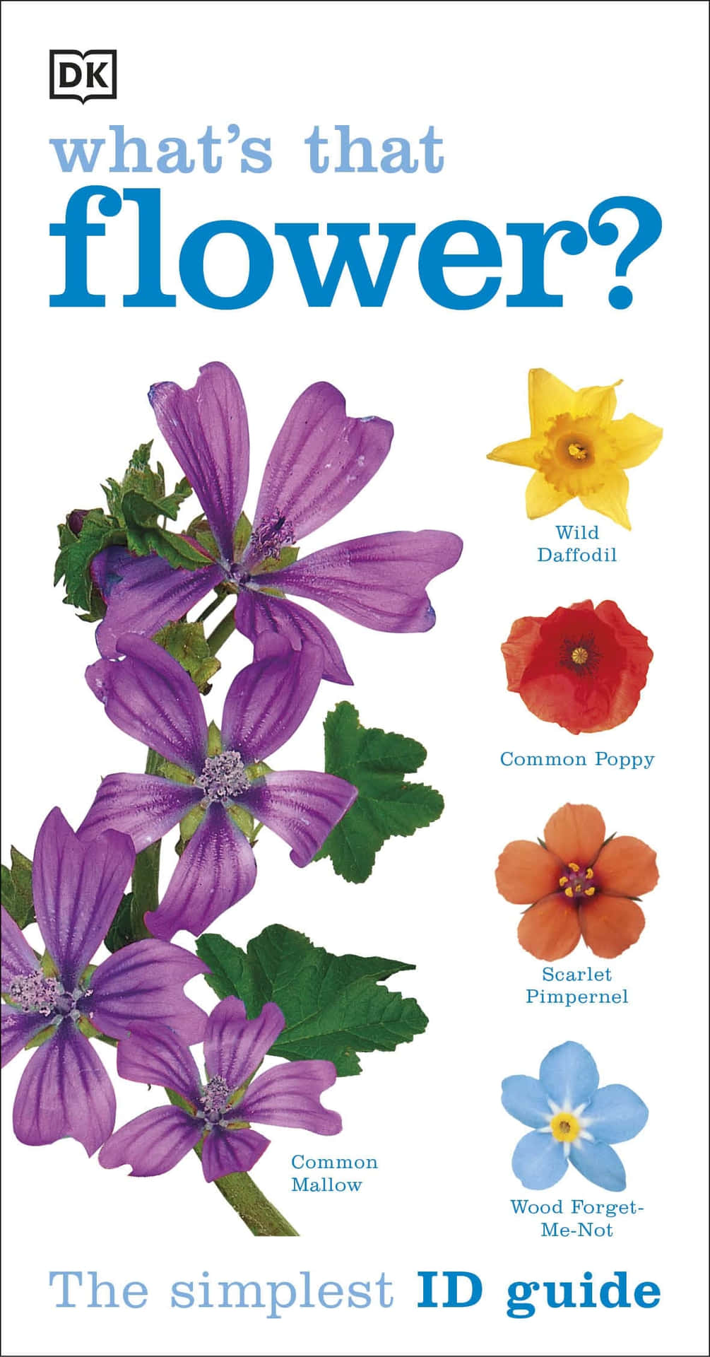 What's That Flower? The Simplest Id Guide