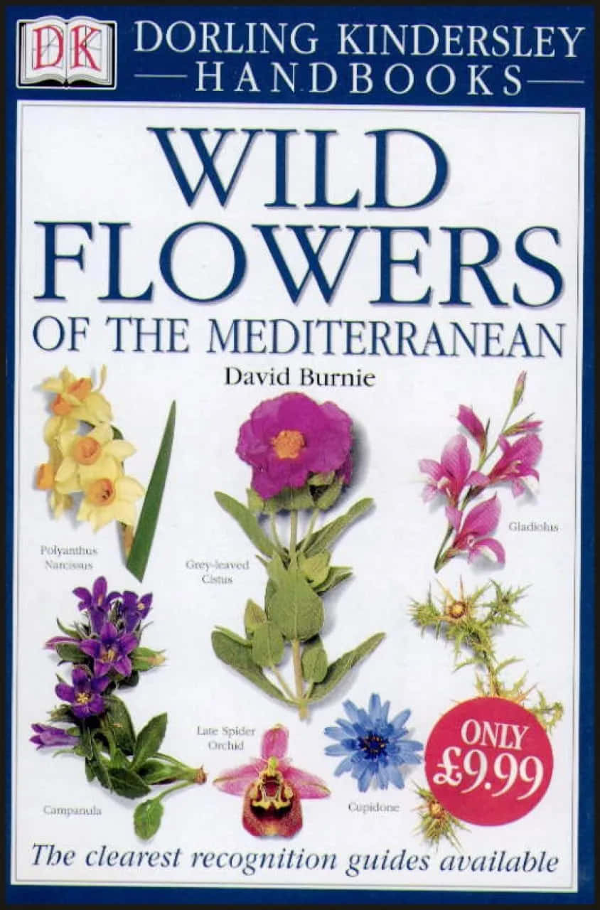 Wild Flowers Of The Mediterranean