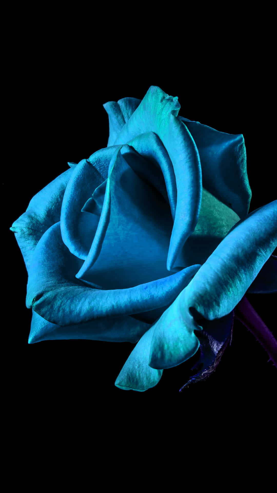 Blumeniphone Blaue Neonfarben Digitales Kunstbild