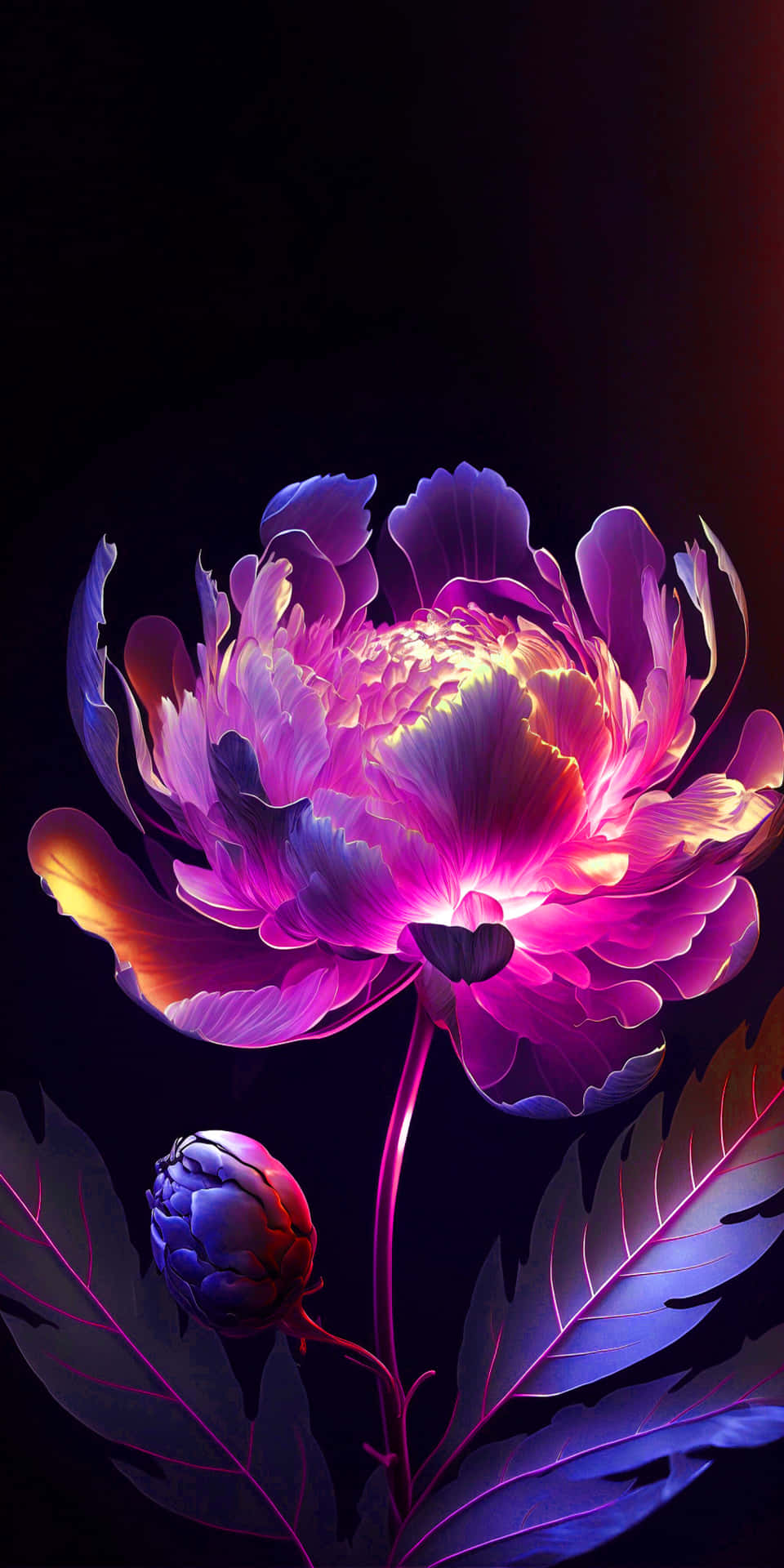 Blomme Iphone Lilla Neon Rose Blomme Billede Tapet