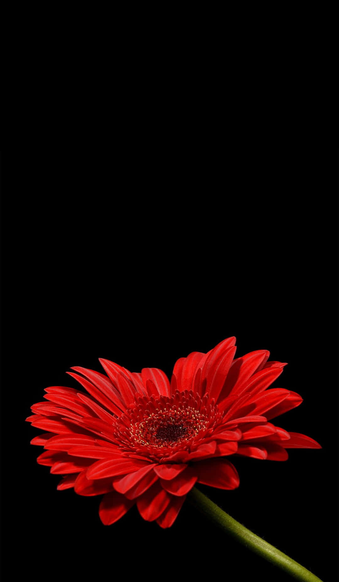 Rød solsikkefoto billedbaggrund til iPhone