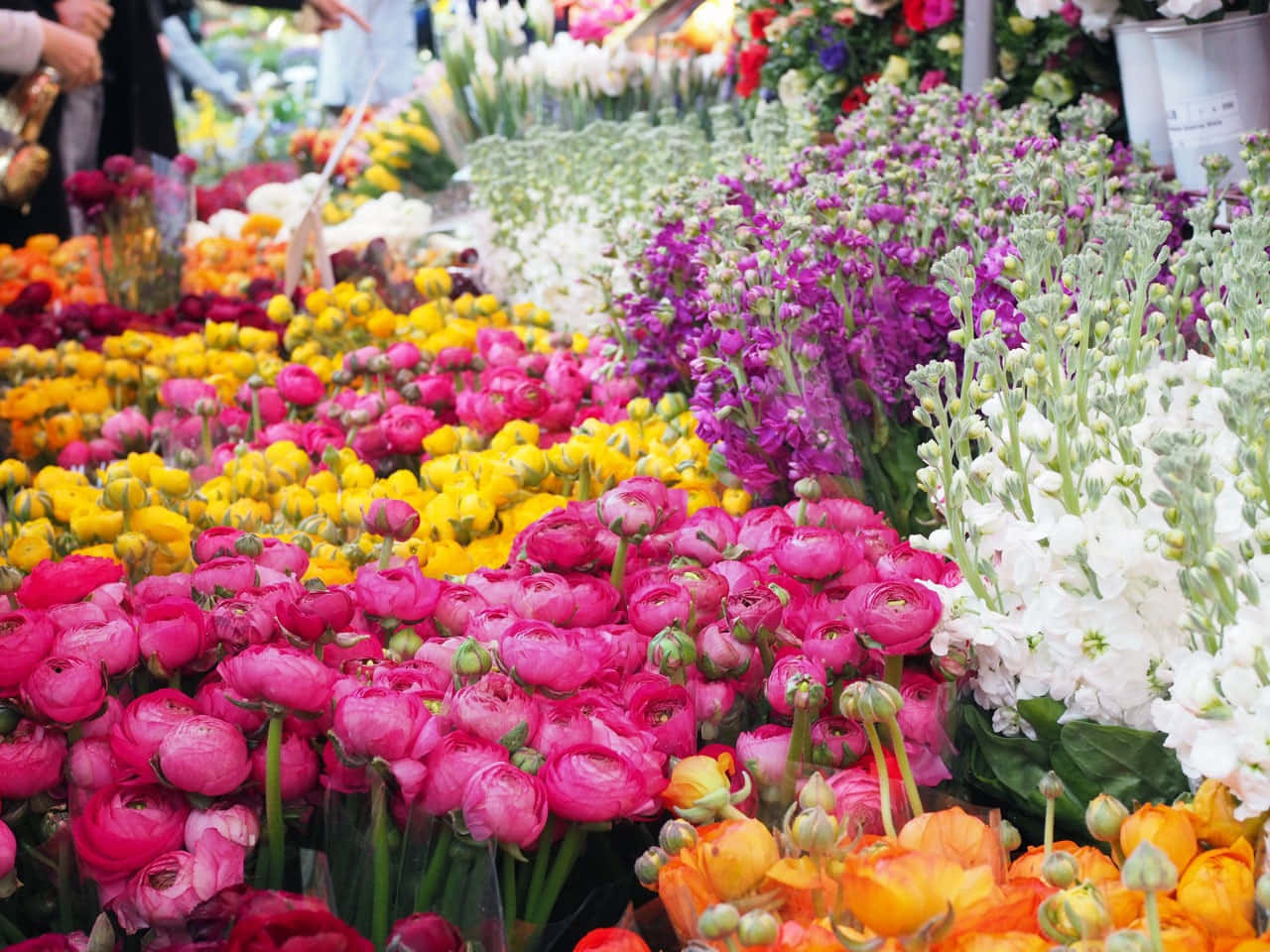 A vibrant and colorful flower market with a wide variety of flowers Wallpaper