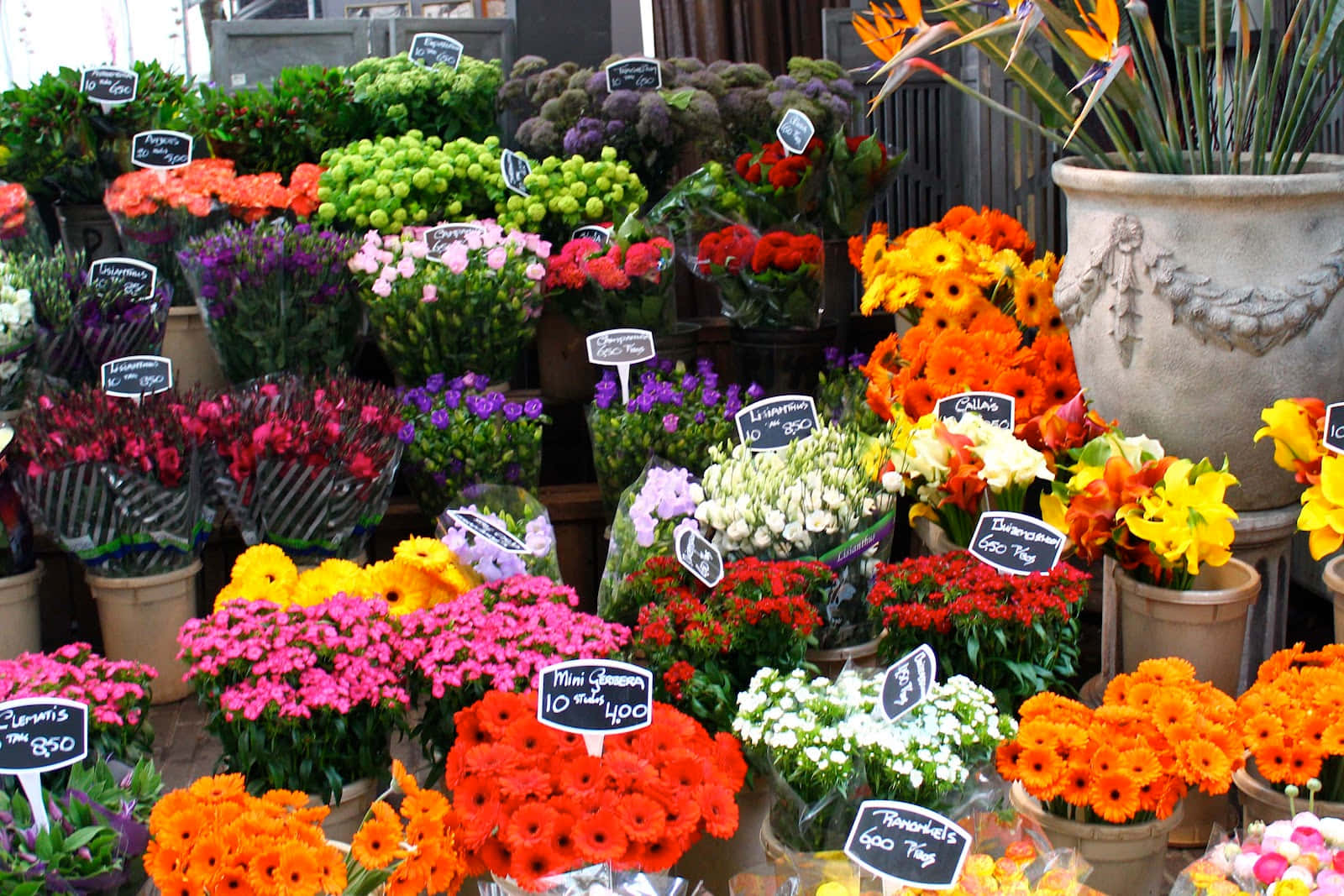 Blooming Flower Market Scene Wallpaper