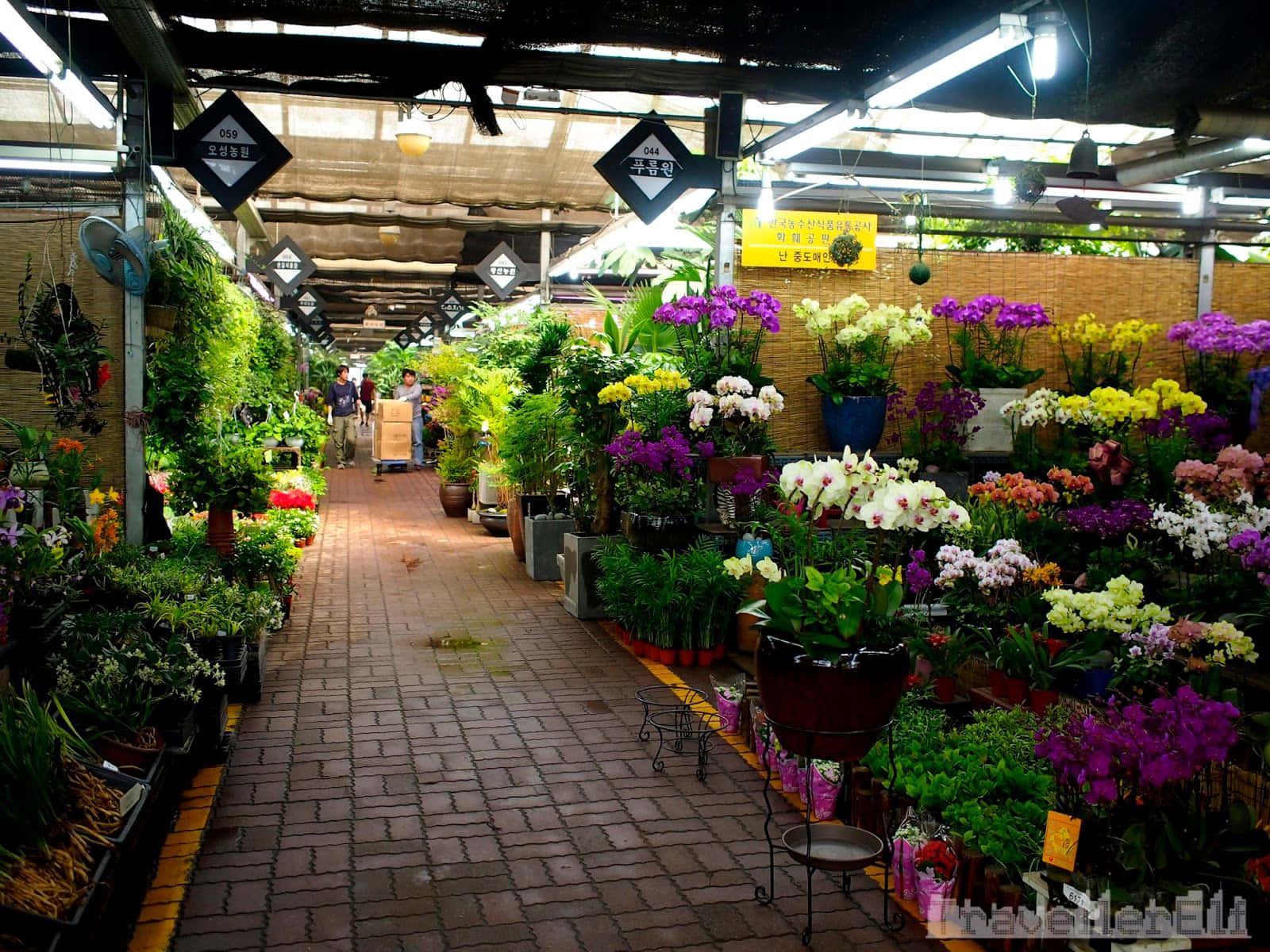 Bustling Flower Market with Colorful Blooms Wallpaper