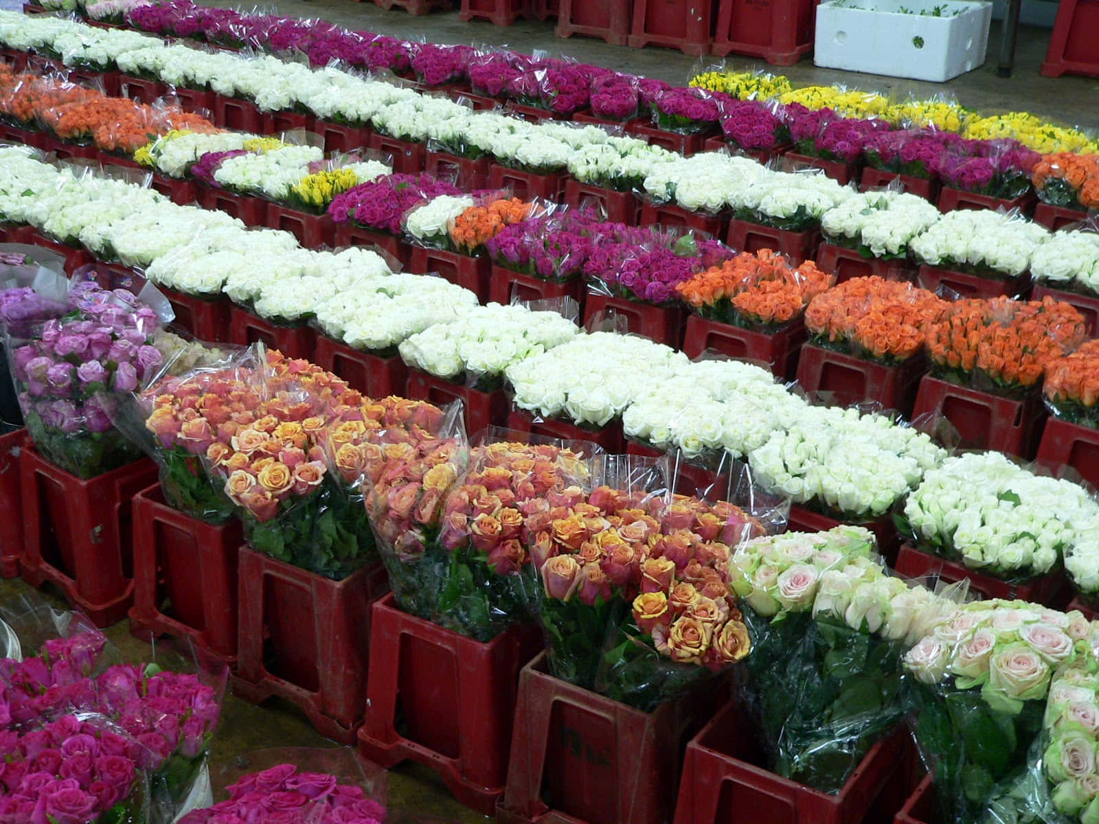 Vibrant Flower Market Stall Wallpaper