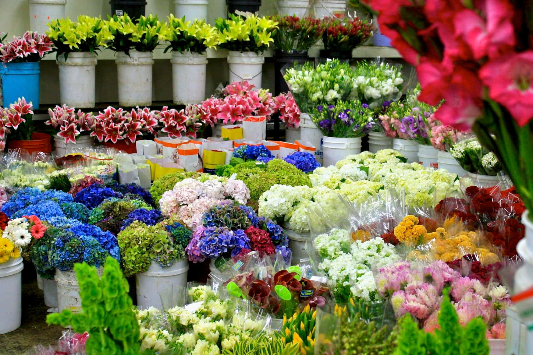 Vibrant Flower Market Wallpaper