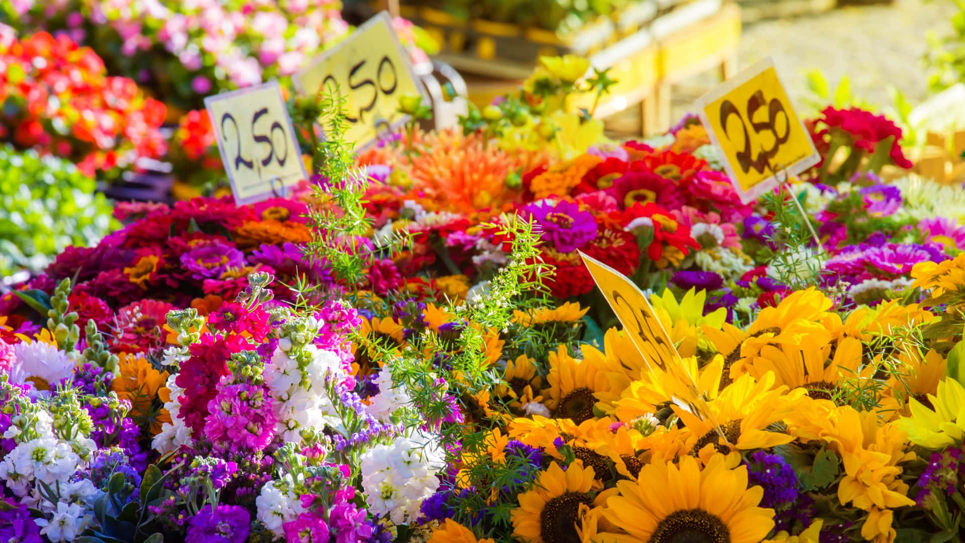 Bustling and Vibrant Flower Market Scene Wallpaper