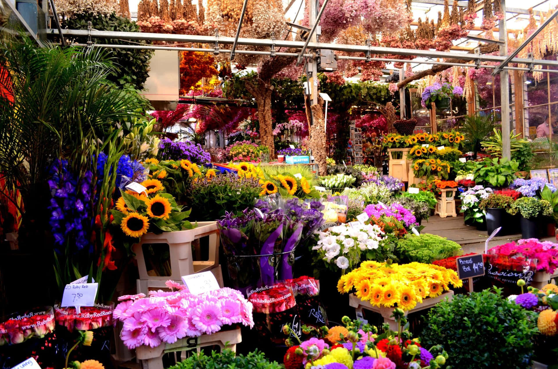 Vibrant and Colorful Flower Market Wallpaper
