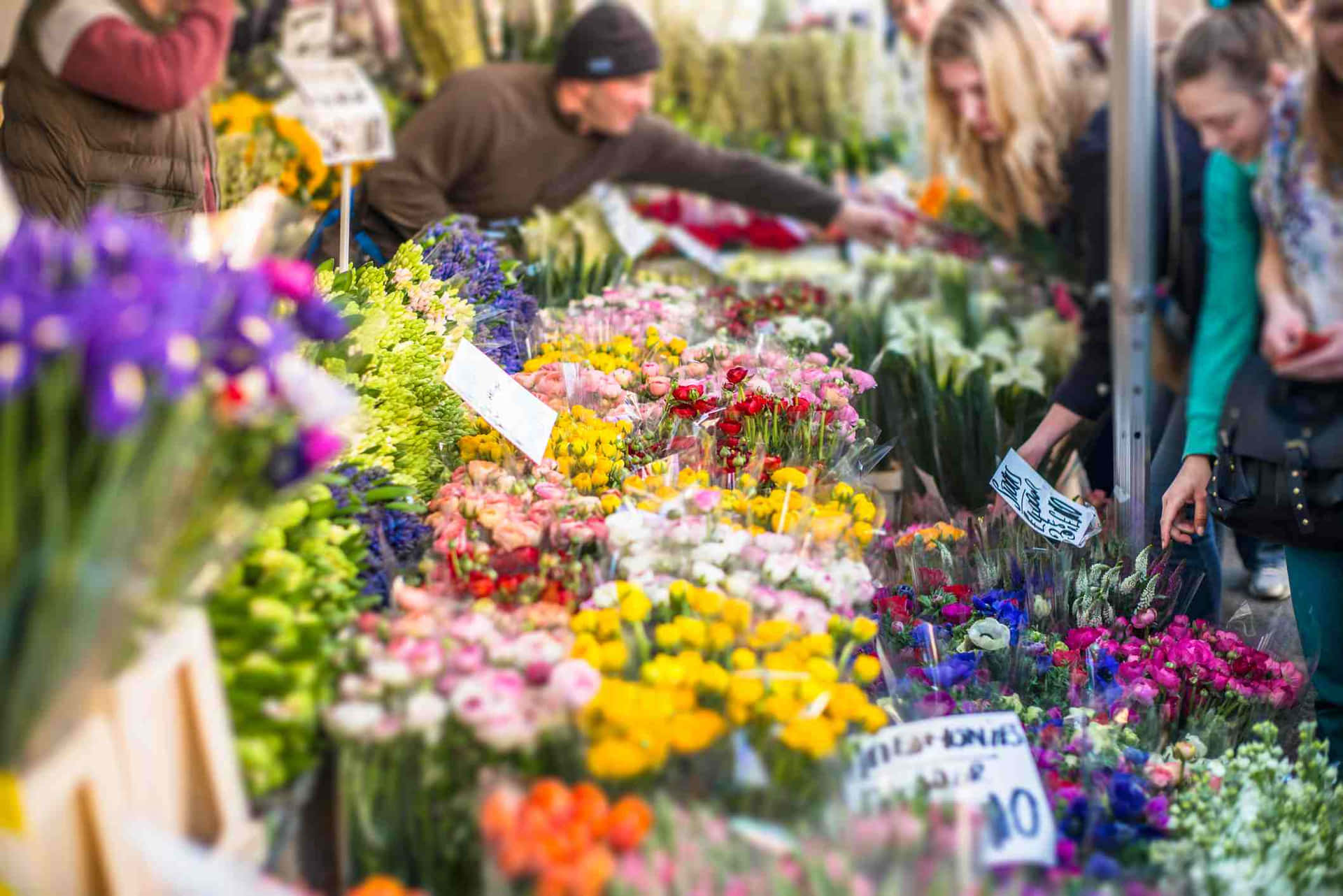 A bustling flower market filled with vibrant blooms Wallpaper