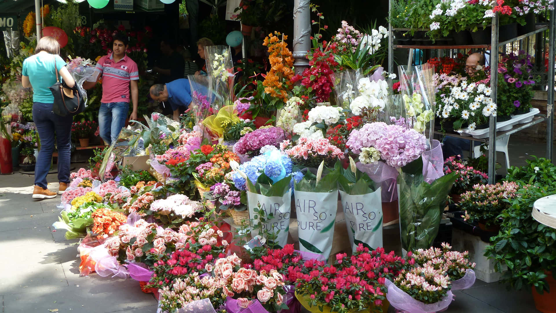 Colorful Blooms at the Flower Market Wallpaper