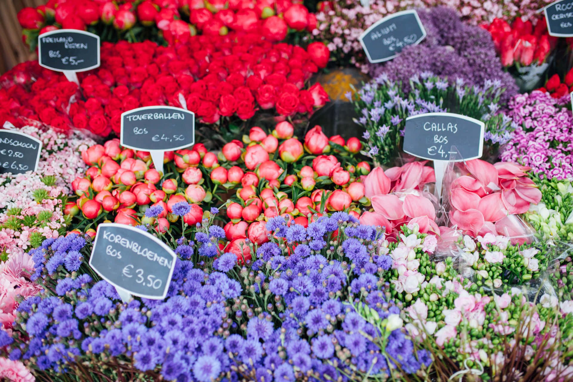Vibrant and Colorful Flower Market Wallpaper
