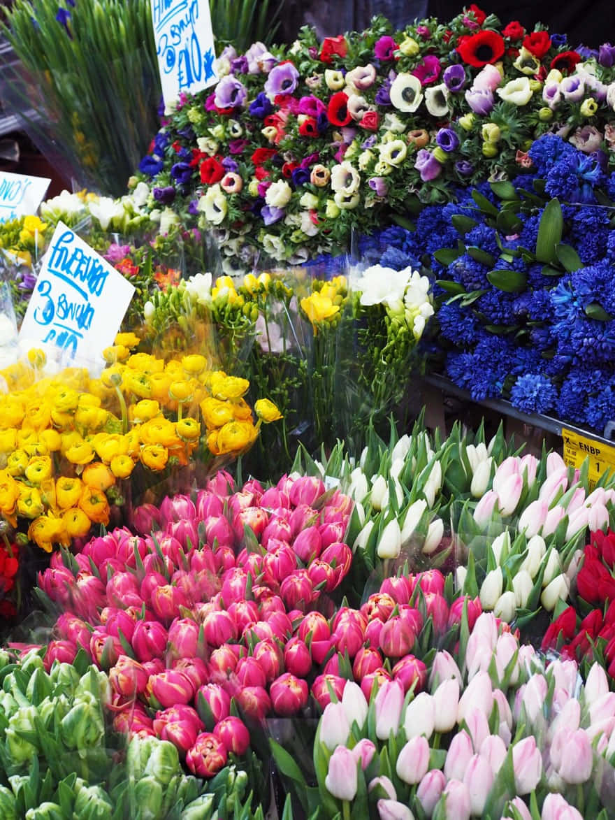 Vibrant Colors at the City Flower Market Wallpaper