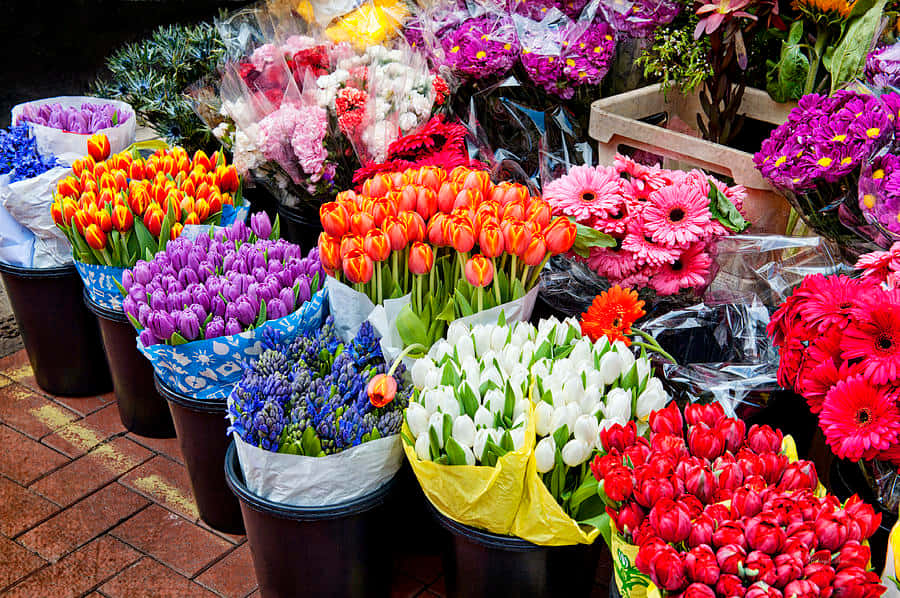 Beautiful Flower Market Wallpaper