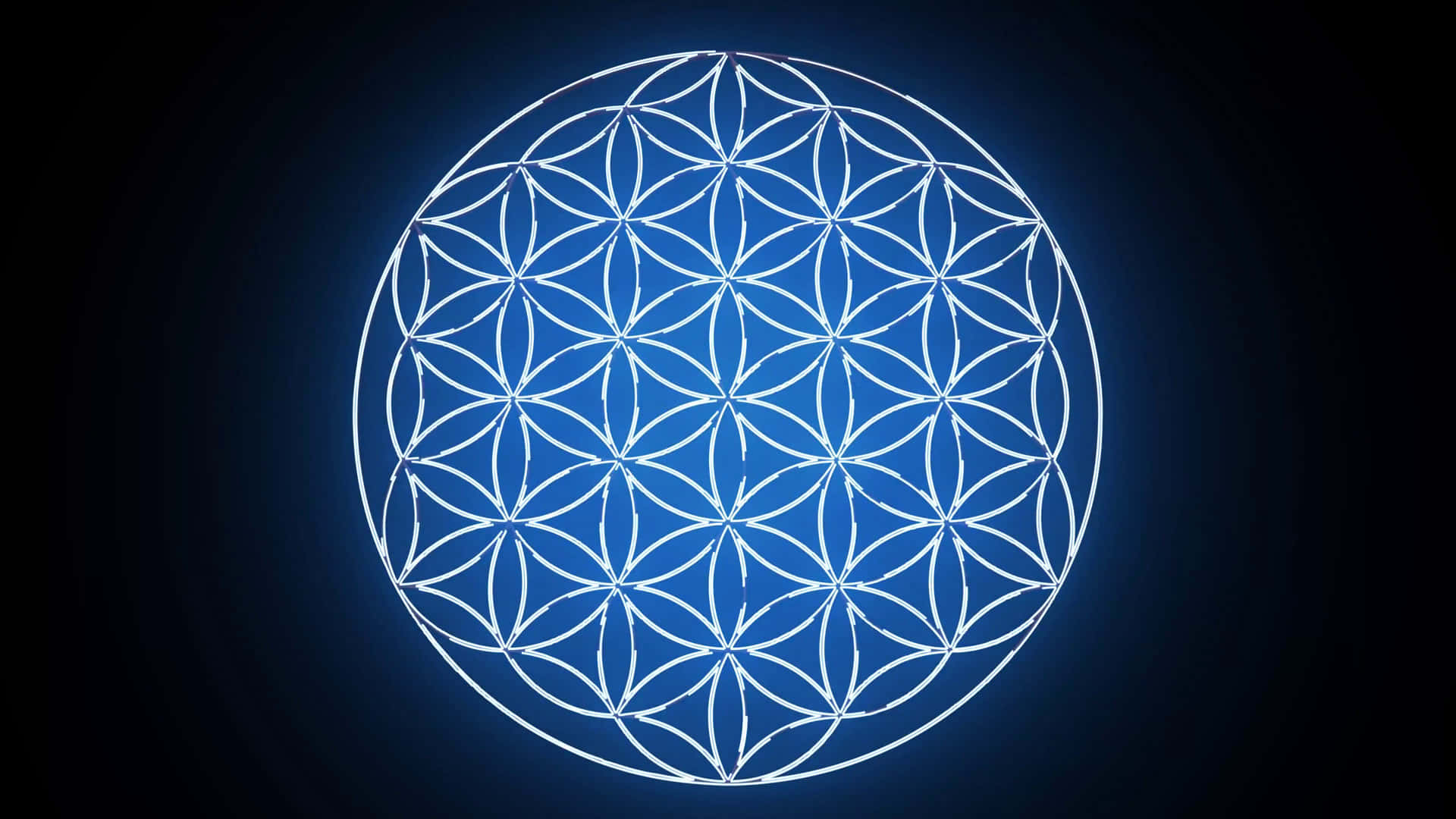 A Flower Of Life Symbol On A Black Background Wallpaper