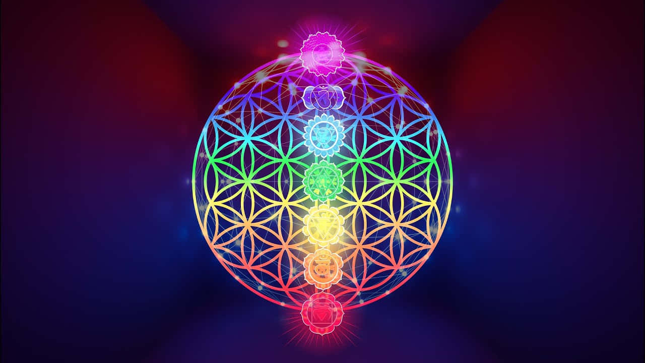 Download The Symbol of Life the Flower of Life Wallpaper  Wallpaperscom