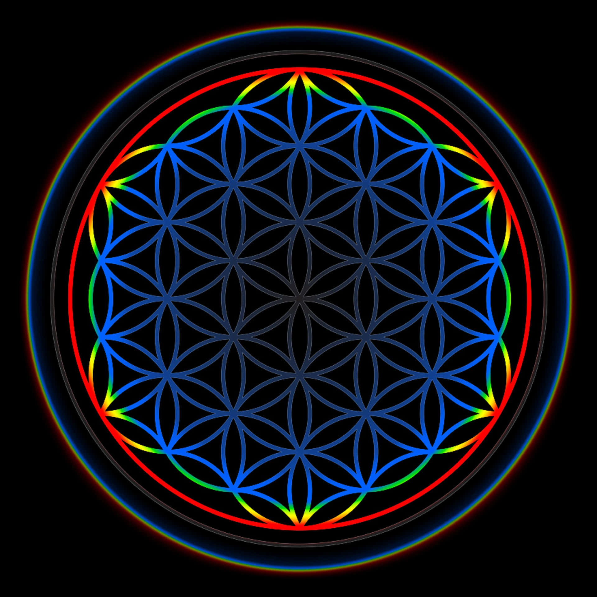 Download A Flower Of Life In A Circle With Colorful Lights Wallpaper ...