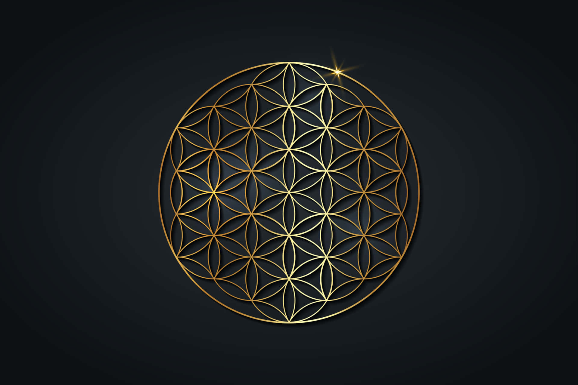 'The Flower of Life Symbol - Representing Power, Balance and Beauty' Wallpaper