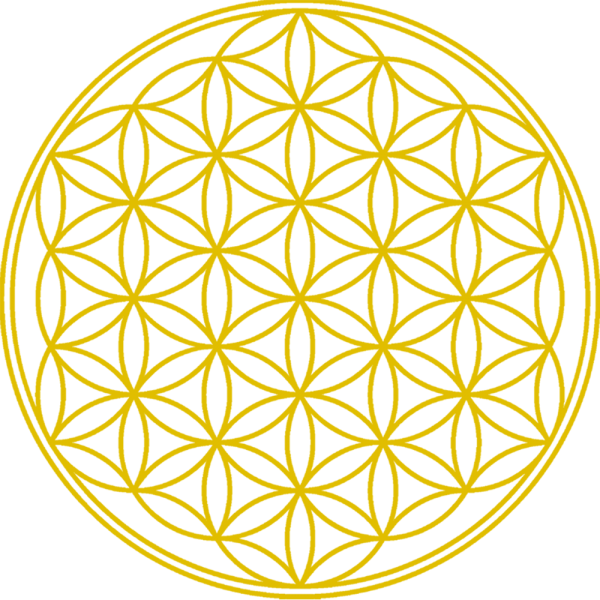 Flower Of Life_ Sacred Geometry Pattern PNG