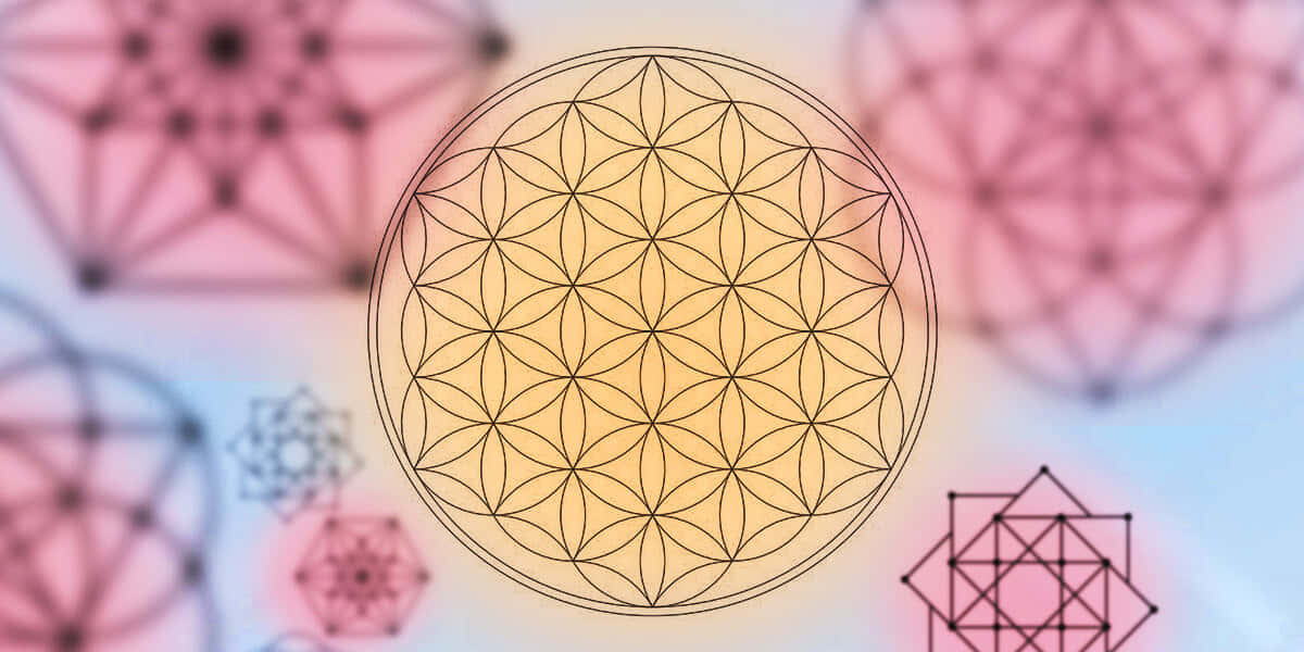 A Flower Of Life Is Shown In A Circular Pattern Wallpaper