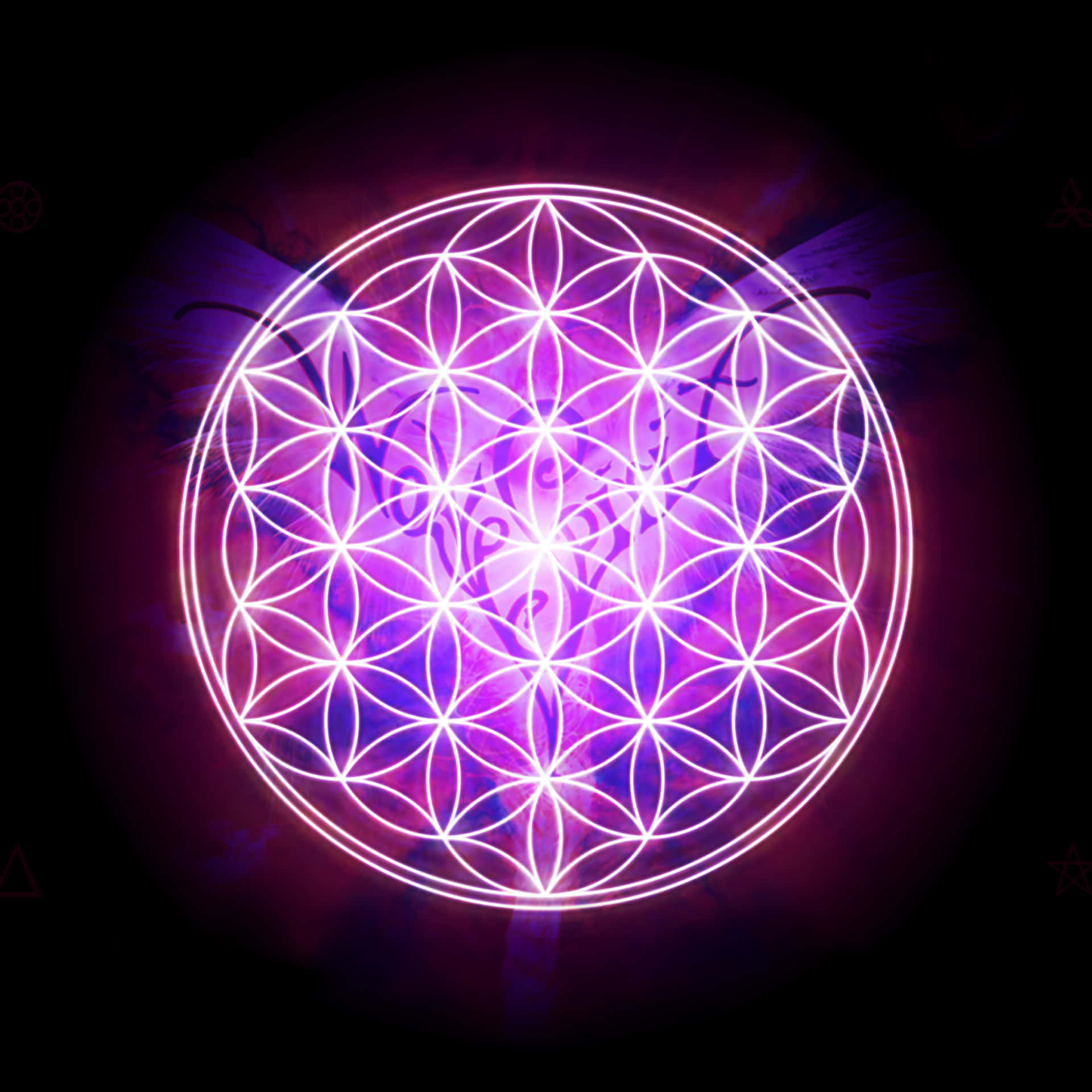A Flower Of Life Symbol With A Purple Light Wallpaper