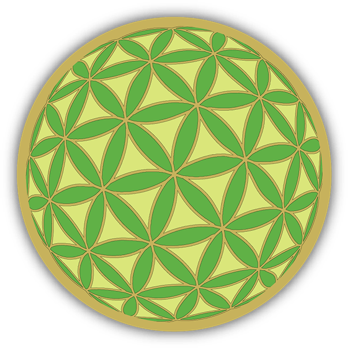 Flower Of Life_ Sacred Geometry Pattern PNG