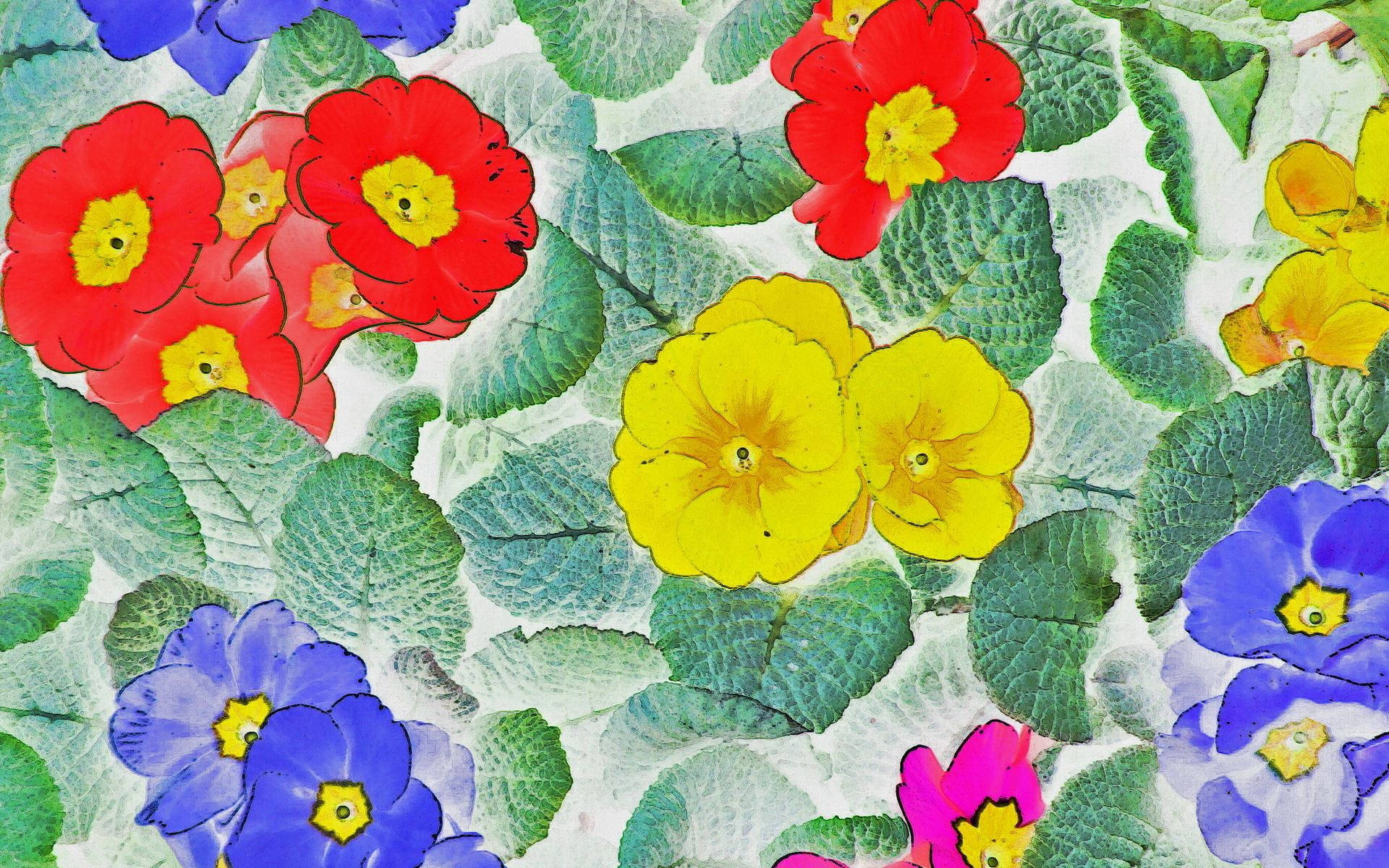 Flower Oil Color Art Wallpaper