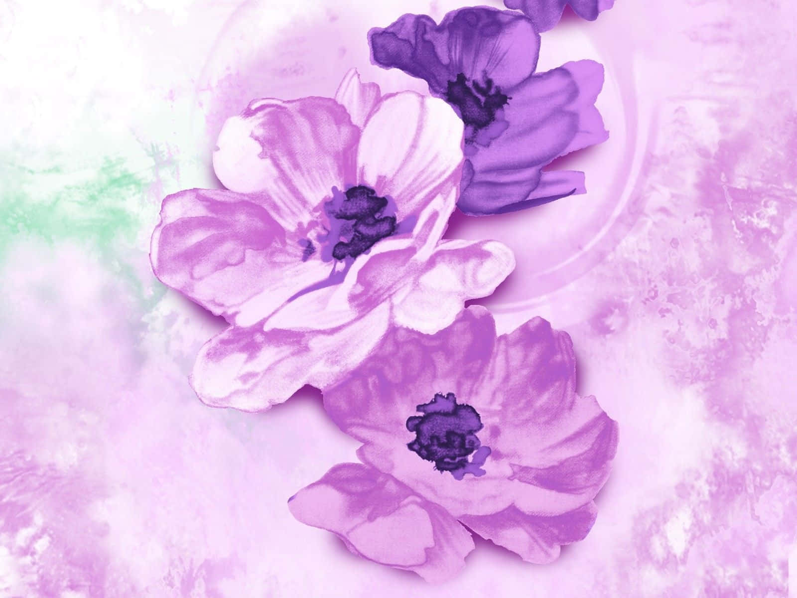 Purple Flower Painting Picture
