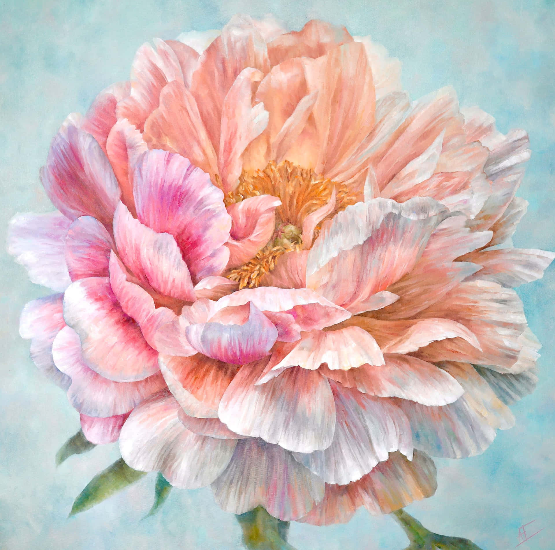 Peony Flower Painting Picture