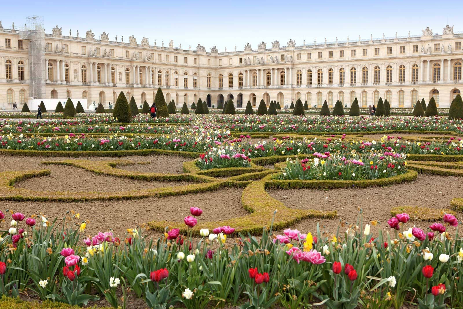 Blomsterparterrenvid Palatset I Versailles. Wallpaper