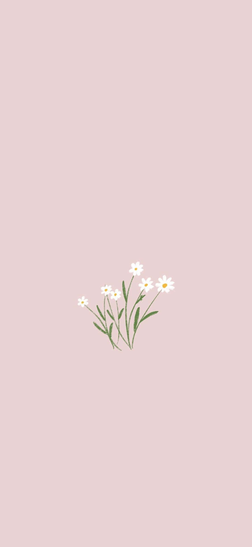 Download Flower Phone 1080 X 2340 Background | Wallpapers.com