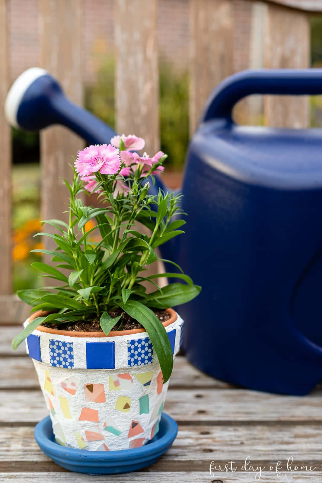 "A lovely flower pot brightening up your garden."
