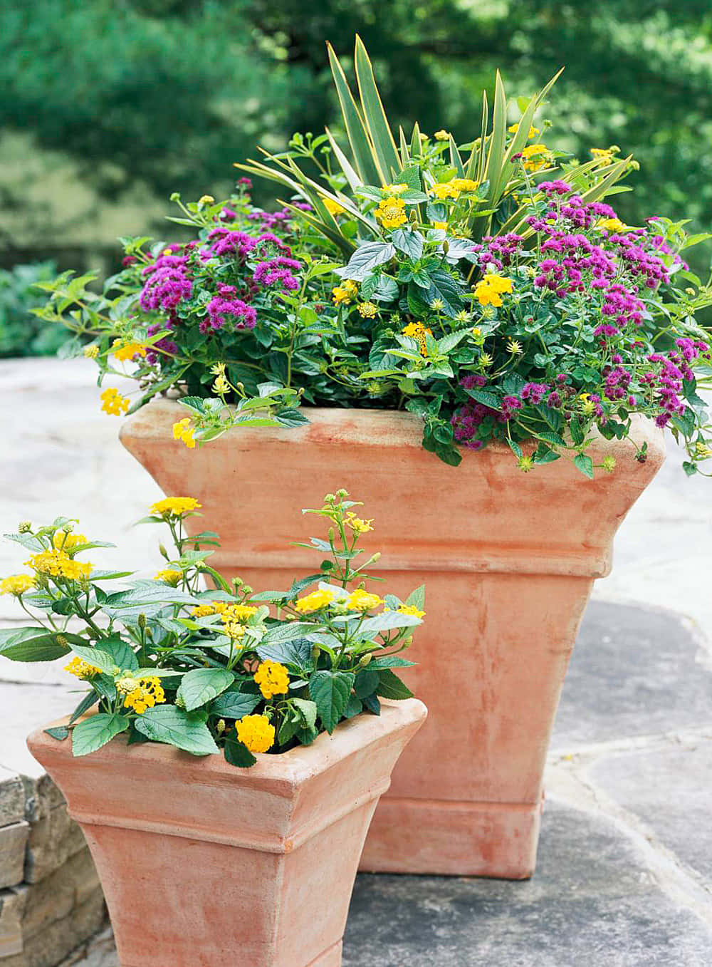 Image  Colorful Flower Pot for Every Home
