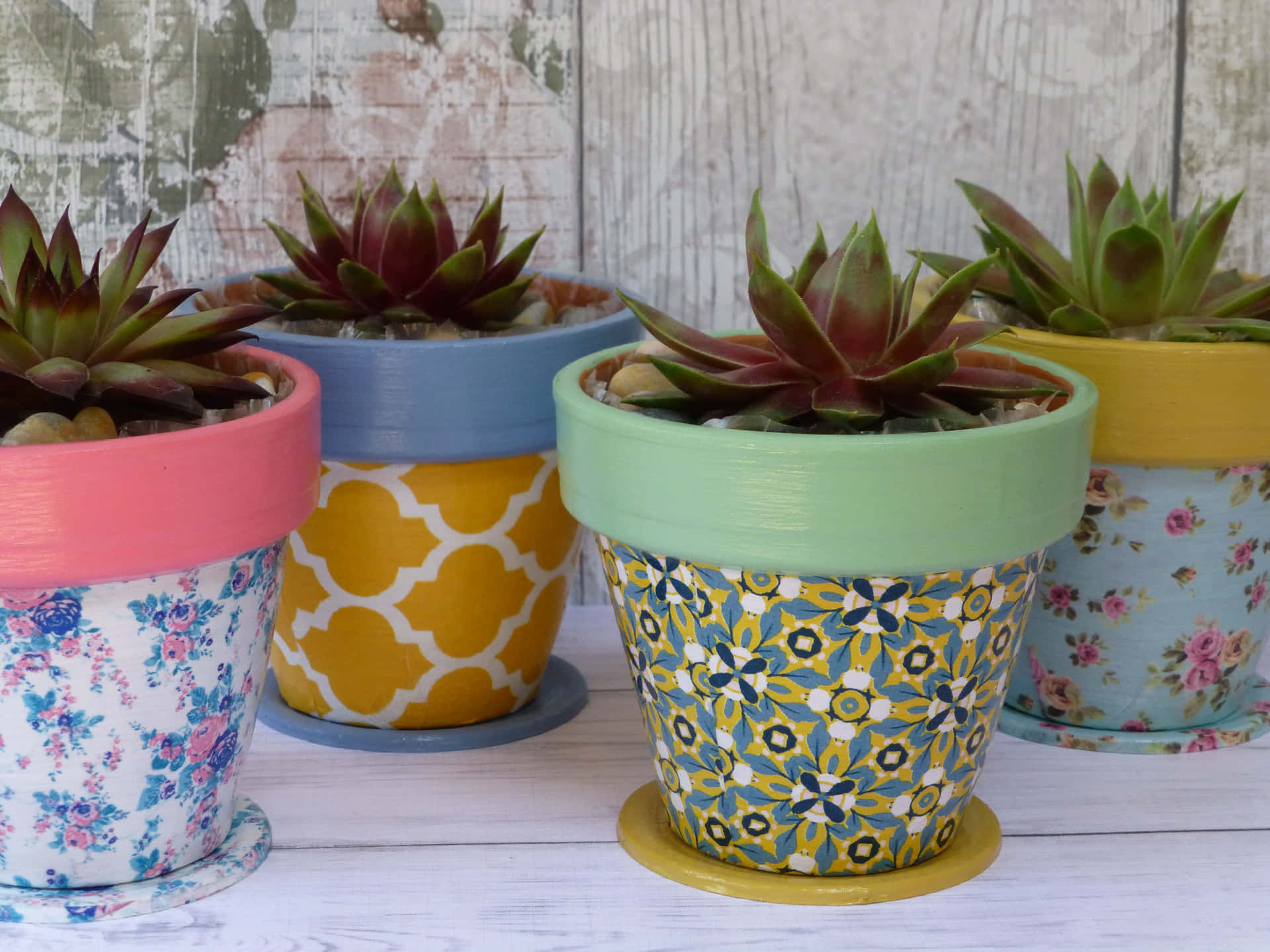 Four Colorful Flower Pots With Succulents In Them