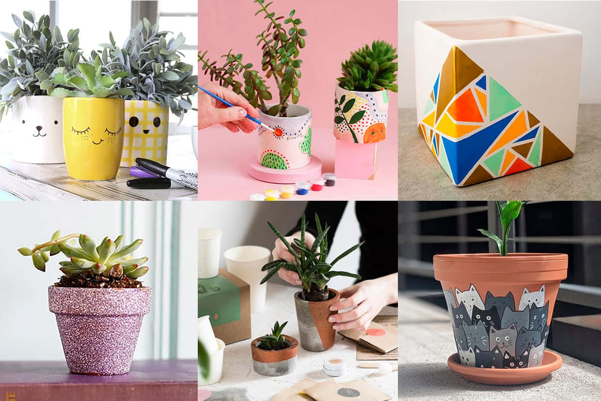 Get Creative - Plant Your Own Stylish Flower Pot!