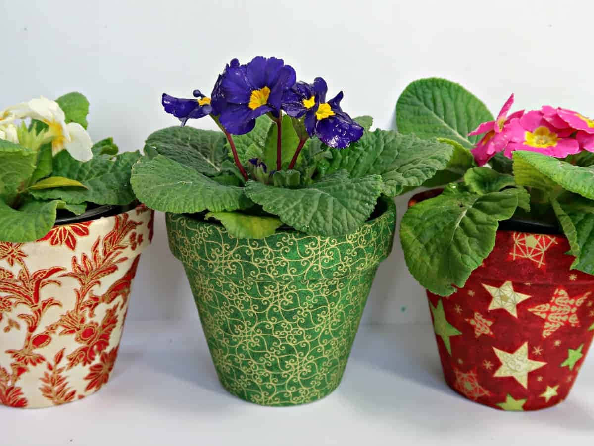 Three Flower Pots With Different Designs