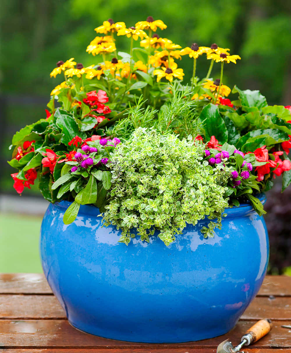 A Blue Pot With Flowers
