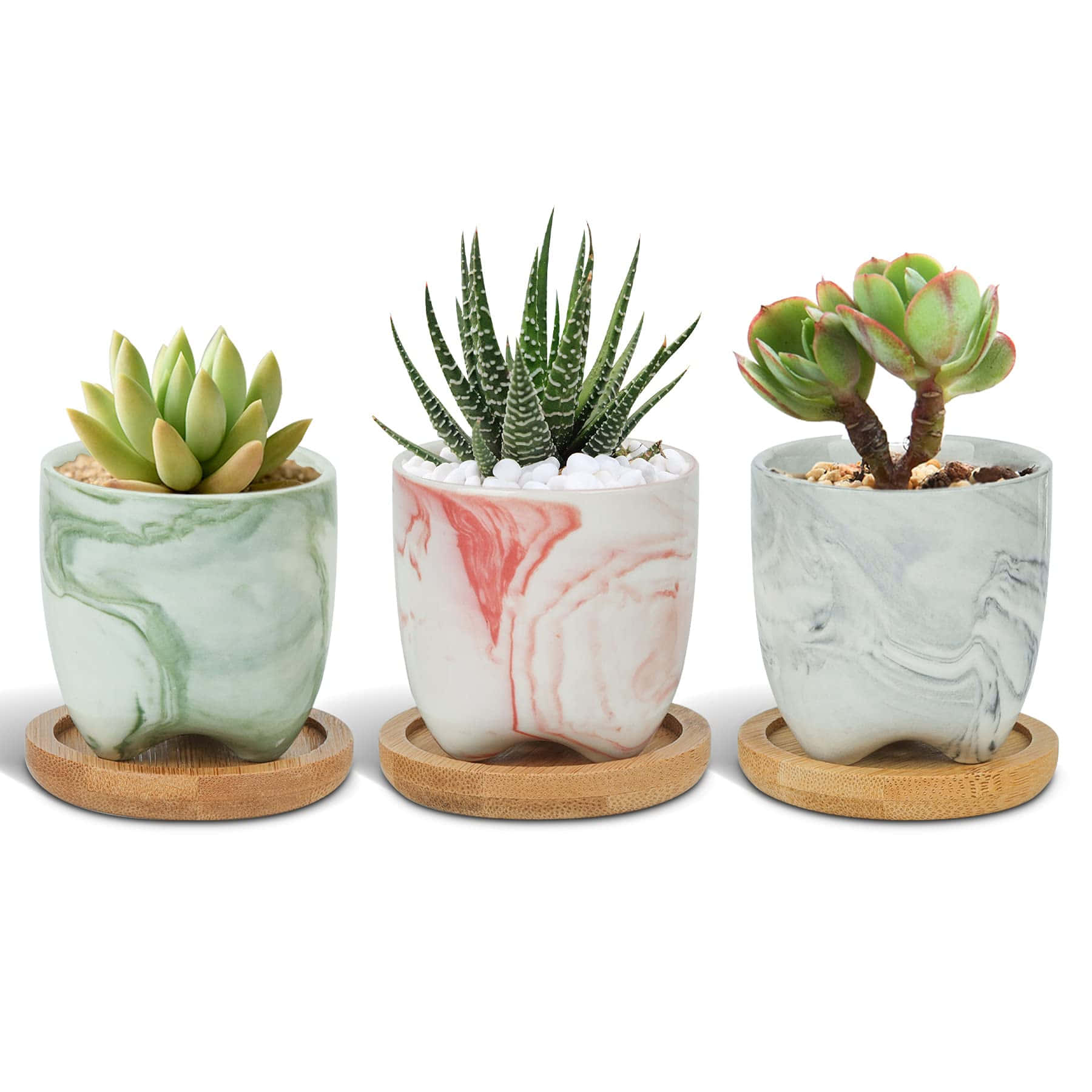 Three Marble Planters With Succulents On Wooden Stands