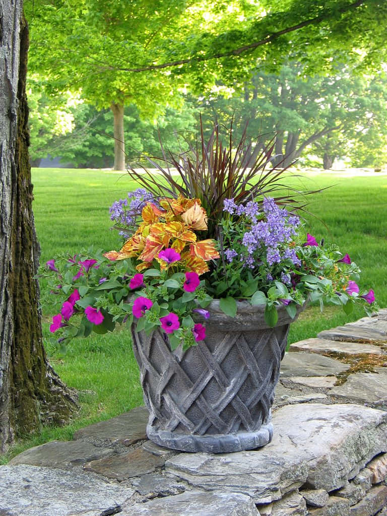 A classical, decorative flower pot from the Greek era
