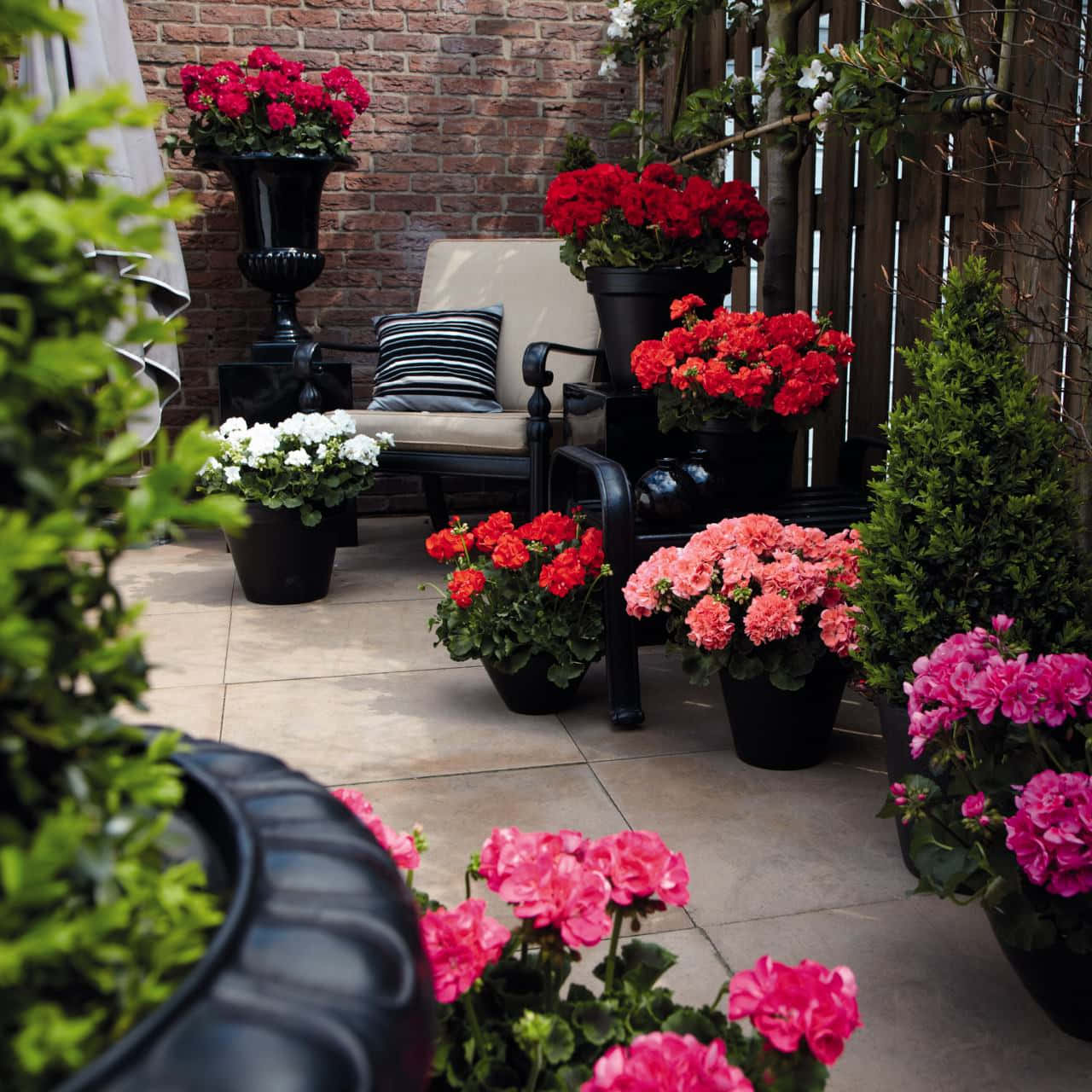 A Patio With A Lot Of Potted Flowers