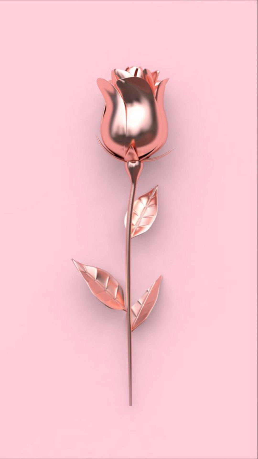 Flower Rose Gold Iphone Wallpaper