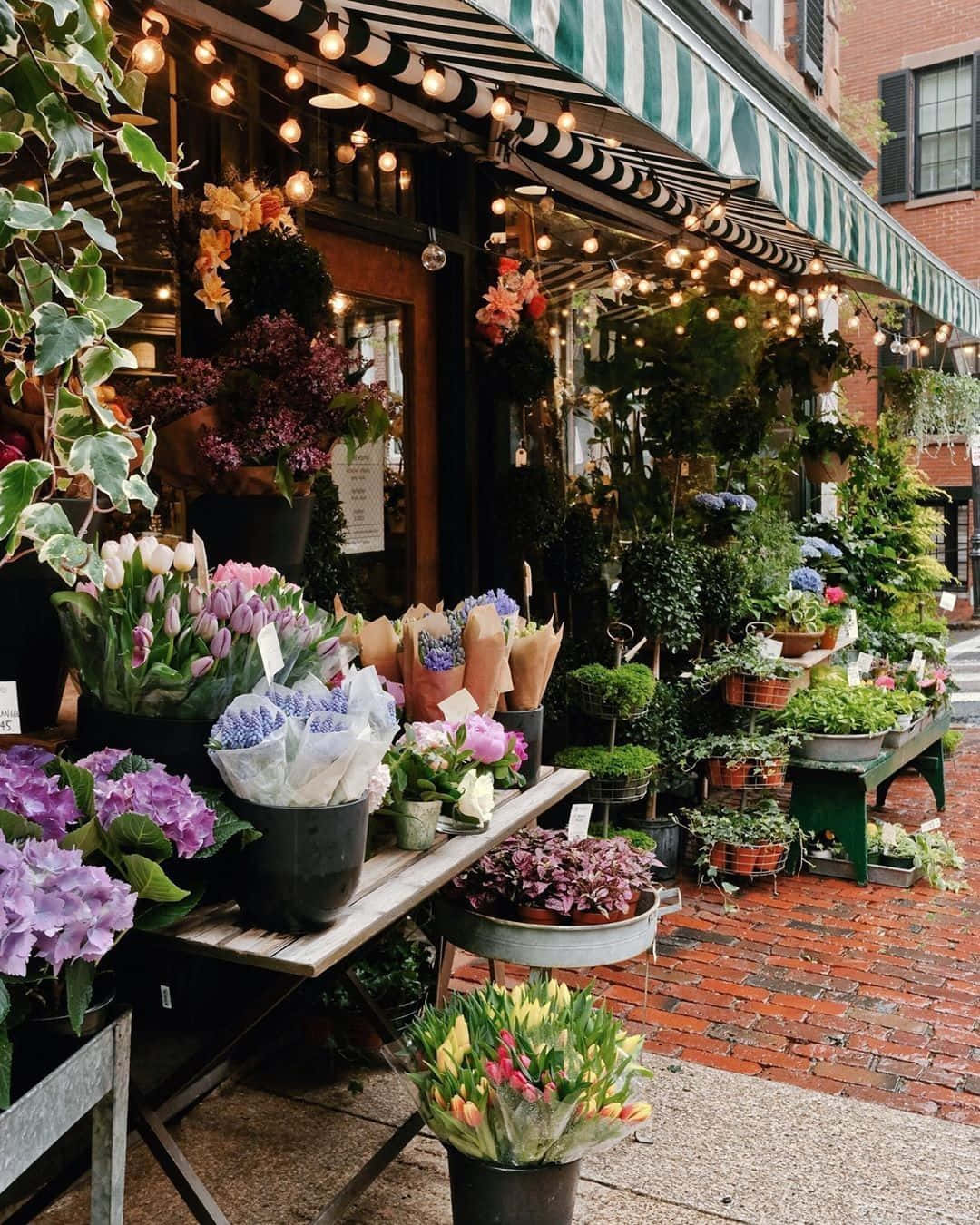 Beautiful Blooming Flower Shop Wallpaper