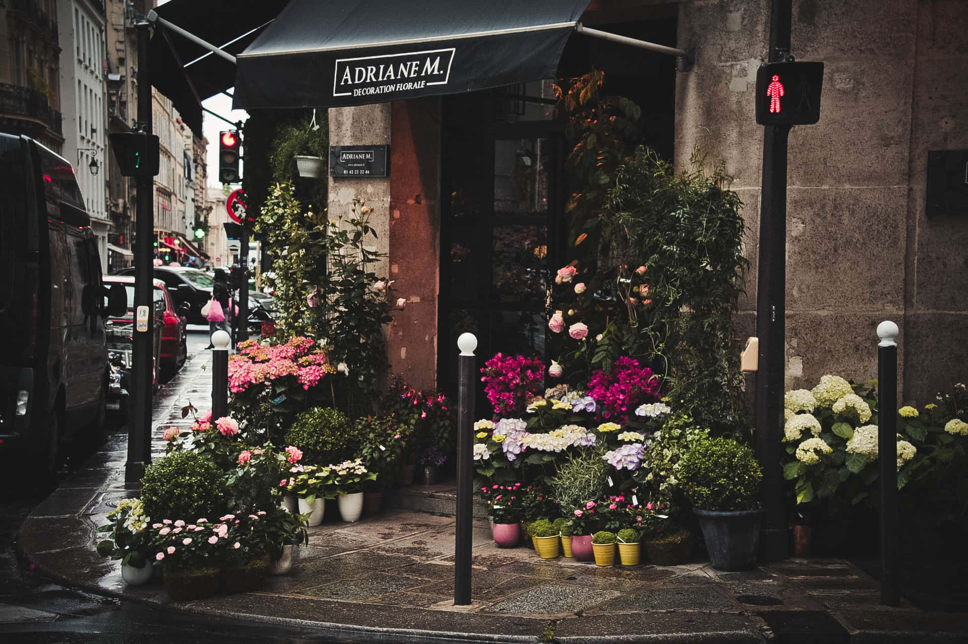 A colorful flower shop with a variety of fresh blooms on display Wallpaper