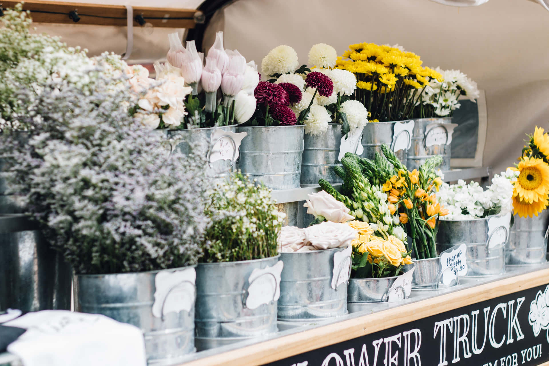 Charming Corner Flower Shop Wallpaper